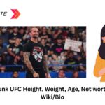 CM Punk UFC